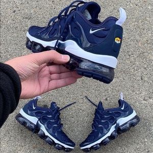 Nike Air Vapormax Plus Tn  Palm Air Cushion Blue MEN